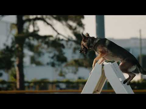 2022 K9 Graduation Promo