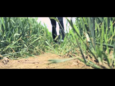 Dan Bettridge - Wolves & Ghosts (Official Music Video)