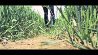 Dan Bettridge - Wolves & Ghosts (Official Music Video)