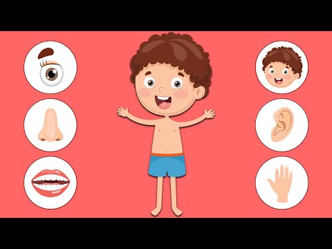 Bodies! Learn the Names of Basic Body Parts