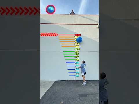 Which Ball Bounces The Highest!?
