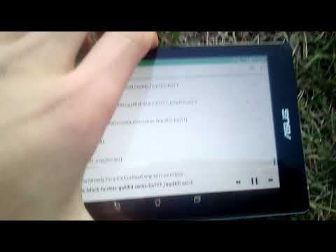 Bass test HOPESTAR-H20