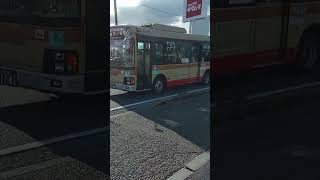 2026/8/14🟥🟨🟧神奈中バス茅ヶ崎営ち8(湘南200か1781/SDG-LR290J1)🚌ニュータウン入口~茅ヶ崎市立病院・本村五丁目にて #神奈川中央交通 #shorts