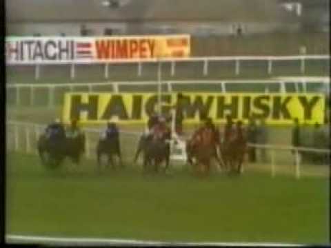 Horse Racing 1984 Topham Aintree & Arkle Chase Cheltenham