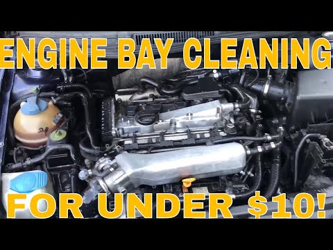 How To Clean Your Engine Bay For Under $10!