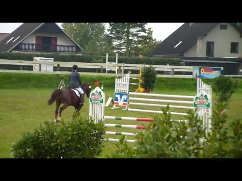 Cincinnati von Coupe de Coeur  6 jährig    1,65cm