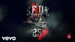 SFDK - Concierto 25 Aniversario. Parte 1