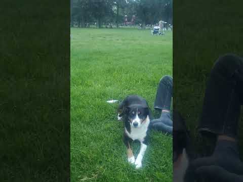 Atardecer del 03/04/26, parque Saavedra, Buenos Aires, 18:46 horas...