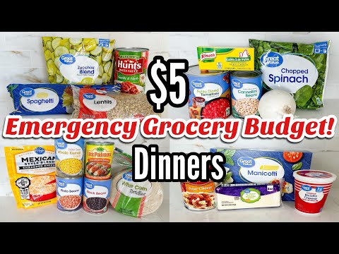 $5 DINNERS | FIVE Quick Cheap Meal Ideas Made EASY! | $25 Grocery Budget | Julia Pacheco