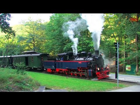 Dampfloks im Lössnitzgrund - 1/2 - Züge - Steam Trains