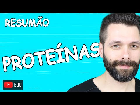 RESUMO sobre PROTEÍNAS - Bioquímica | Biologia com Samuel Cunha