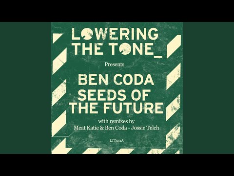 Seed Of The Future (Meat Katie & Ben Coda Remix)
