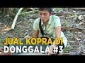 Rumah Sederhana Untuk Tinggal Yang Penuh Dengan Kehangatan JIKA AKU MENJADI