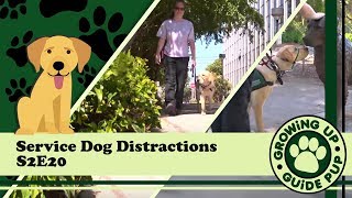 GUGP Season 2 - Week 20 - Distractions