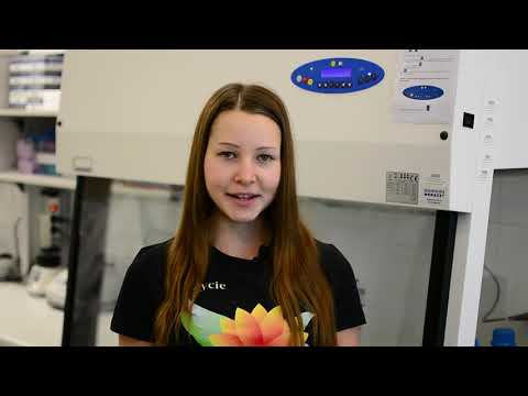 Dietetyka na Wydziale Żywienia Człowieka SGGW — Akademia Wychowania Fizycznego (AWF) im. Eugeniusza Piaseckiego w Poznaniu