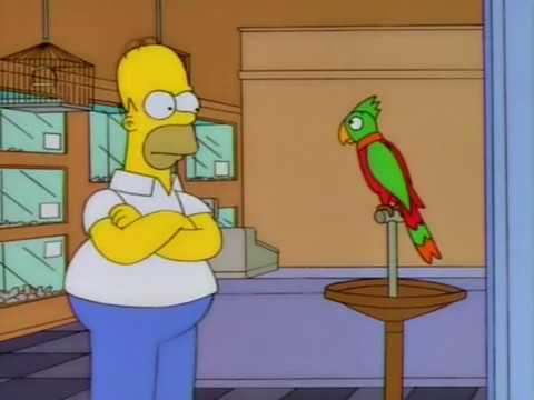 S09E15 - The Bird Homer Likes to Argue with