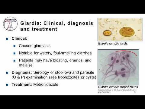 Morgellons betegség paraziták