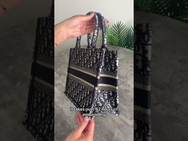Vídeo relacionado con DGAZ Organizador de bolso de seda para Dior Book Tote mini/S/M/L, organizador de bolsas suave y sedoso, bolso de lujo y moldeador (azul tesoro, BT-M)