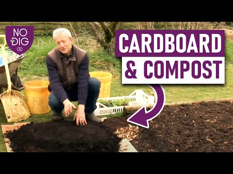 , title : 'Start out no dig - one method with cardboard and compost'