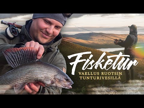 SUURHARJUSTEN LAAKSO – Upeaa pintaperhostusta Ruotsin Lapissa [ENG SUB]