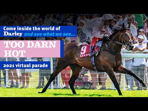 2021 Darley Australia Stallion Parade - Too Darn Hot