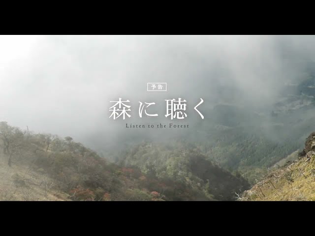 『森に聴く　Listen　to　the　Forest』予告