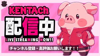 顔出し EUパフォーマンスカップ フォートナイト