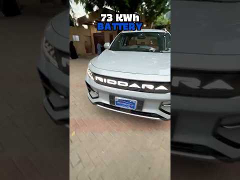With these powerful figures, Geely Riddara RD6 Pro is here!