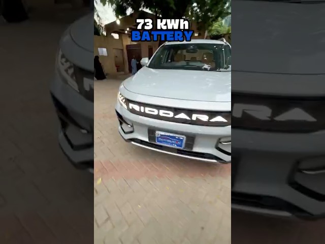 With these powerful figures, Geely Riddara RD6 Pro is here!