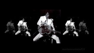 Elvis Presley -  My Babe  (Live august 26, 1969)