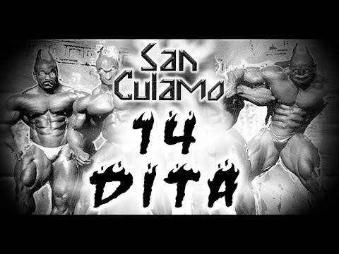 Mantra sulle articolazioni Distorsione dei legamenti del ginocchio nei cani. trattamento