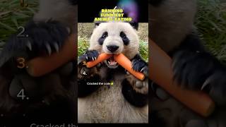 Ranking Funniest Animal Eating