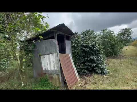 Imagen de Venta de Lotes y Terrenos en Mata de plátano - Goicoechea Mata de Plátano - SAN JOSÉ