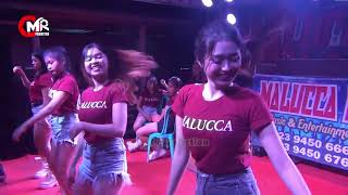 Download lagu DJ MALUCCA MUSIC ELECTONE GOYANG HOT BIDUAN CANTIK mp3