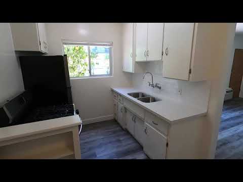 PL8952 - Fully Remodeled Modern 1 Bed + 1 Bath Apartment For Rent!