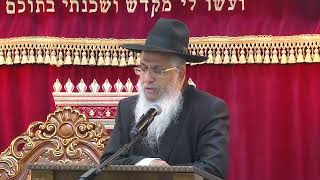 הנהגות חג הסוכות ושמיני עצרת (הרב יורם סרי) - התמונה מוצגת ישירות מתוך אתר האינטרנט יוטיוב. זכויות היוצרים בתמונה שייכות ליוצרה. קישור קרדיט למקור התוכן נמצא בתוך דף הסרטון