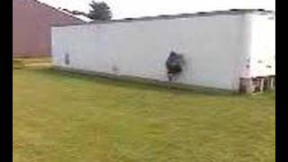man ws wall 2
