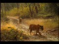 Documentary Nature - A Tiger Called Broken Tail
