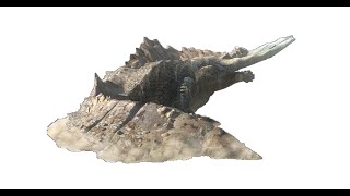 大地の龍神玉＆冥海竜の雷魂←いつになったら出るんだよ
