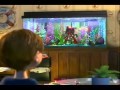 Finding Nemo Audio Recorded And Recreated