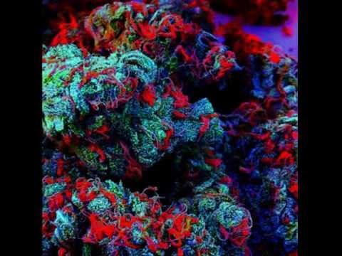 Dreadlock- Krusz To (Prod.Dreadlock)