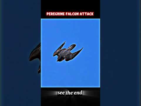 peregrine falcon catch the food#animals#wildlife#hunting #peregrainfalcon#cat#shorts#viralshorts