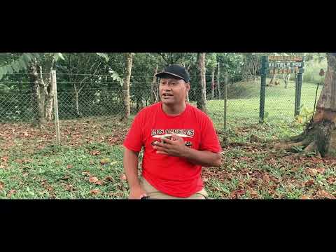 SINAPI LOGOVII - AIAIAVA (Official Music Video) feat. TAUMATE