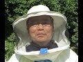 Мёд Japan. Японское пчеловодство.Как проверить 