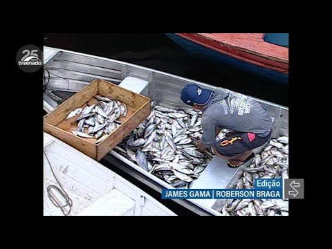 Lasier Martins quer que STF julgue lei que restringe pesca de arrasto no Rio Grande do Sul