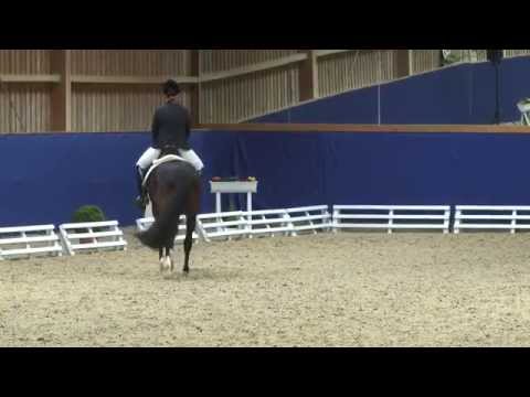 10 - Santina Treffinger - Fürst Florenco- www.equideo.tv