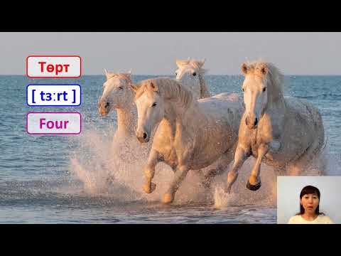 Kazakh Language Lesson #8  Numbers from 1 to 10
