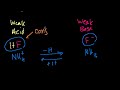 Conjugate Acids and Bases Video Tutorial