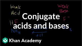 Conjugate Acids and Bases