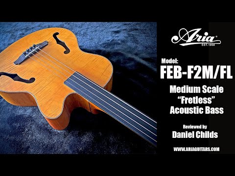 Aria FEBF2M-FL-STBK Flame Nato Top Nato Neck 4-String Medium Scale Fretless Acoustic Bass Guitar w/Gig Bag image 3